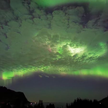 Rystad Midnight Sun And Nature Appartement Buitenkant foto