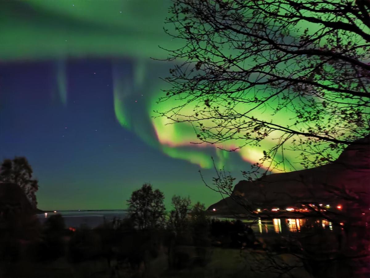 Rystad Midnight Sun And Nature Appartement Buitenkant foto