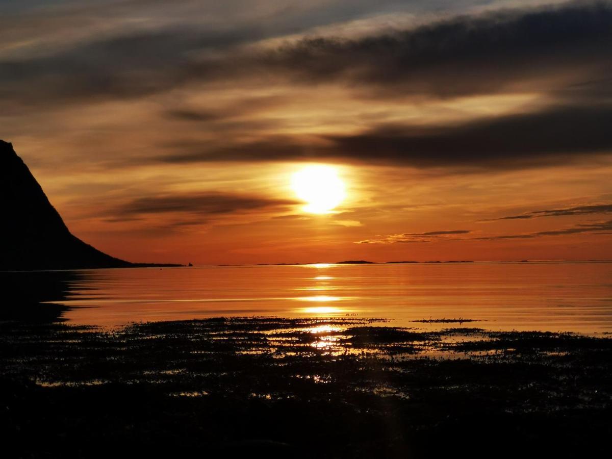 Rystad Midnight Sun And Nature Appartement Buitenkant foto
